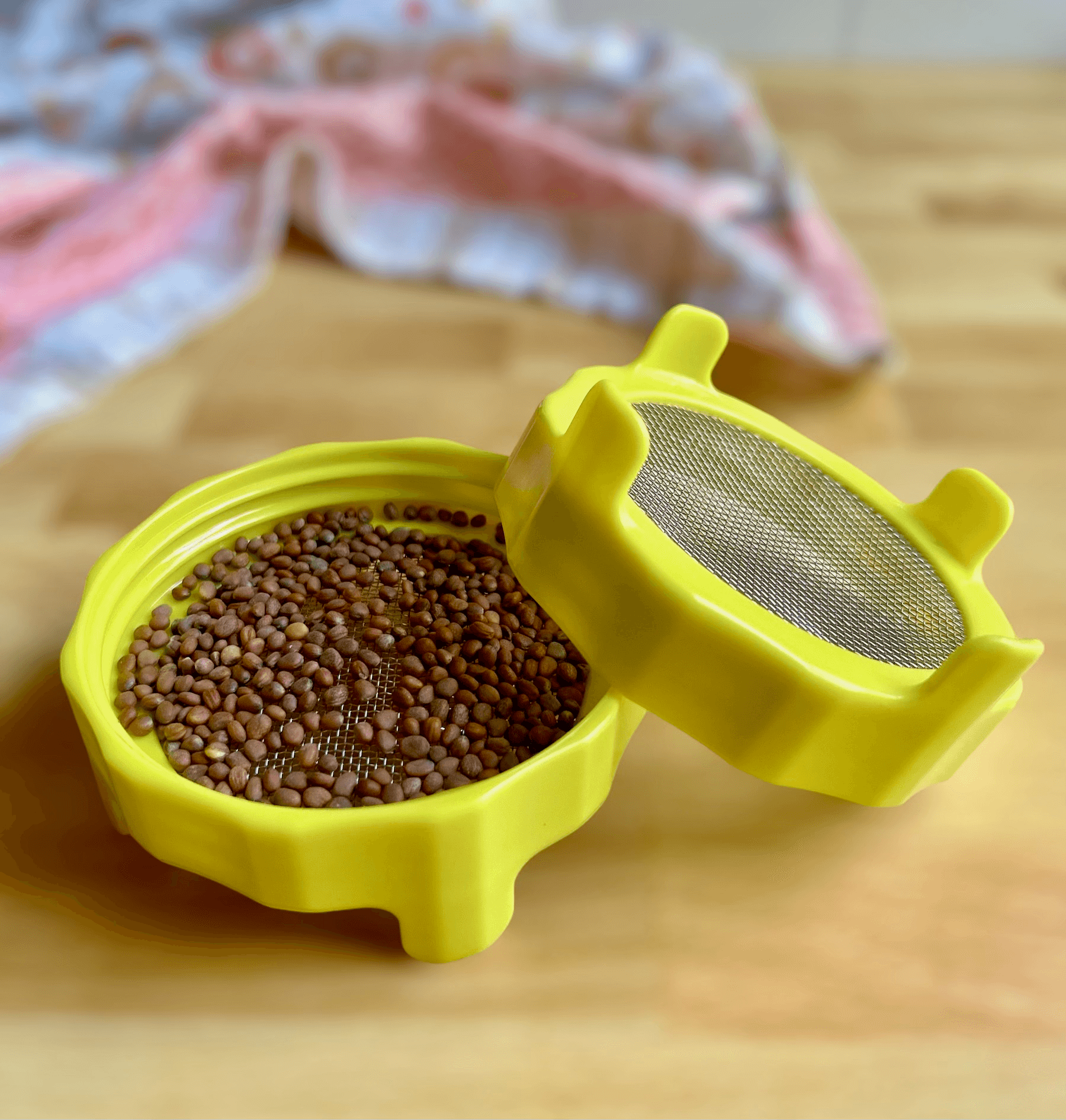 316 Stainless Steel Sprouting Lid with Legs for Mason Jars