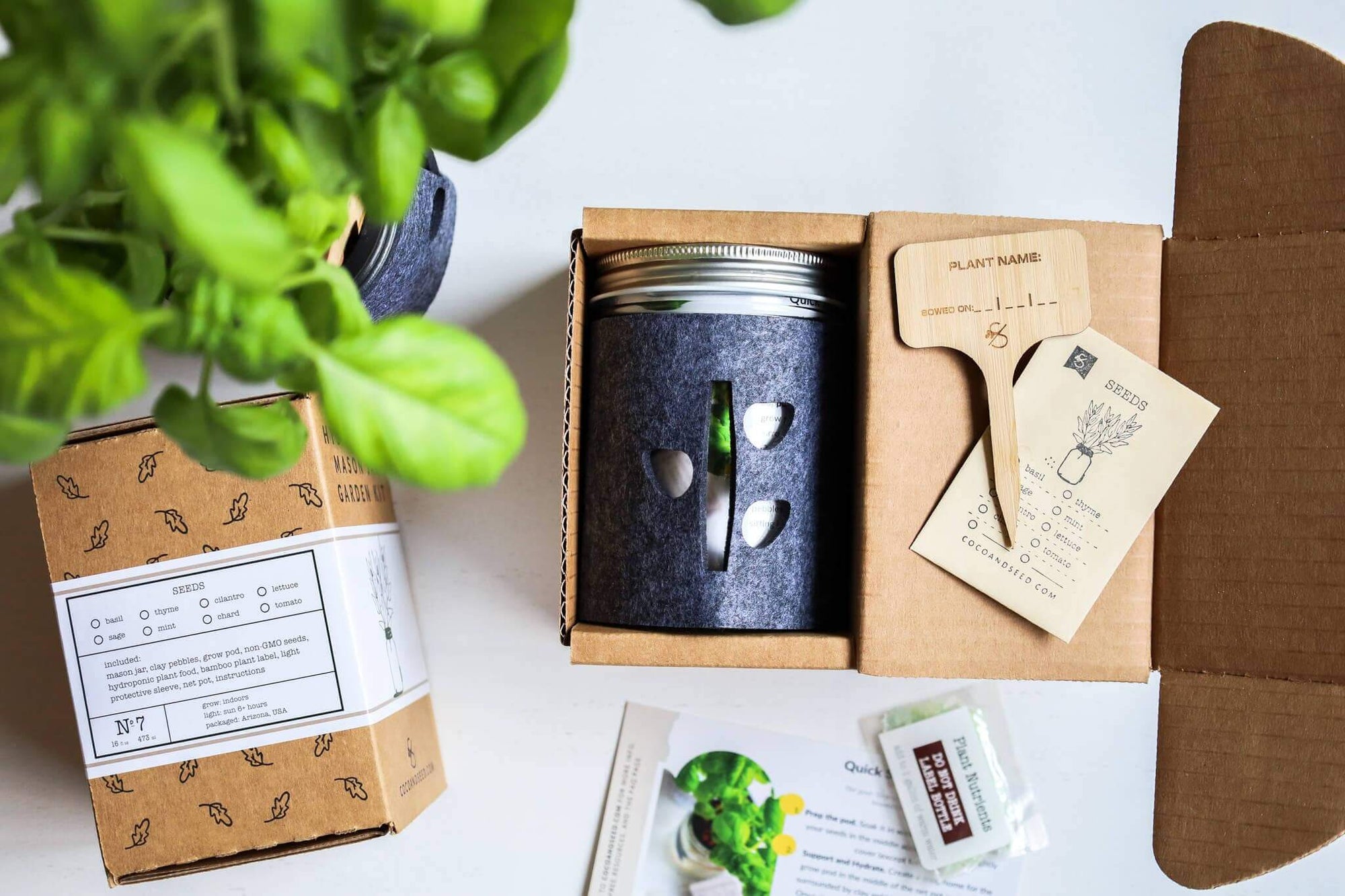 Grow Greens with Hydroponic Mason Jar Kit | Buy Now