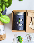 Grow Greens with Hydroponic Mason Jar Kit | Buy Now