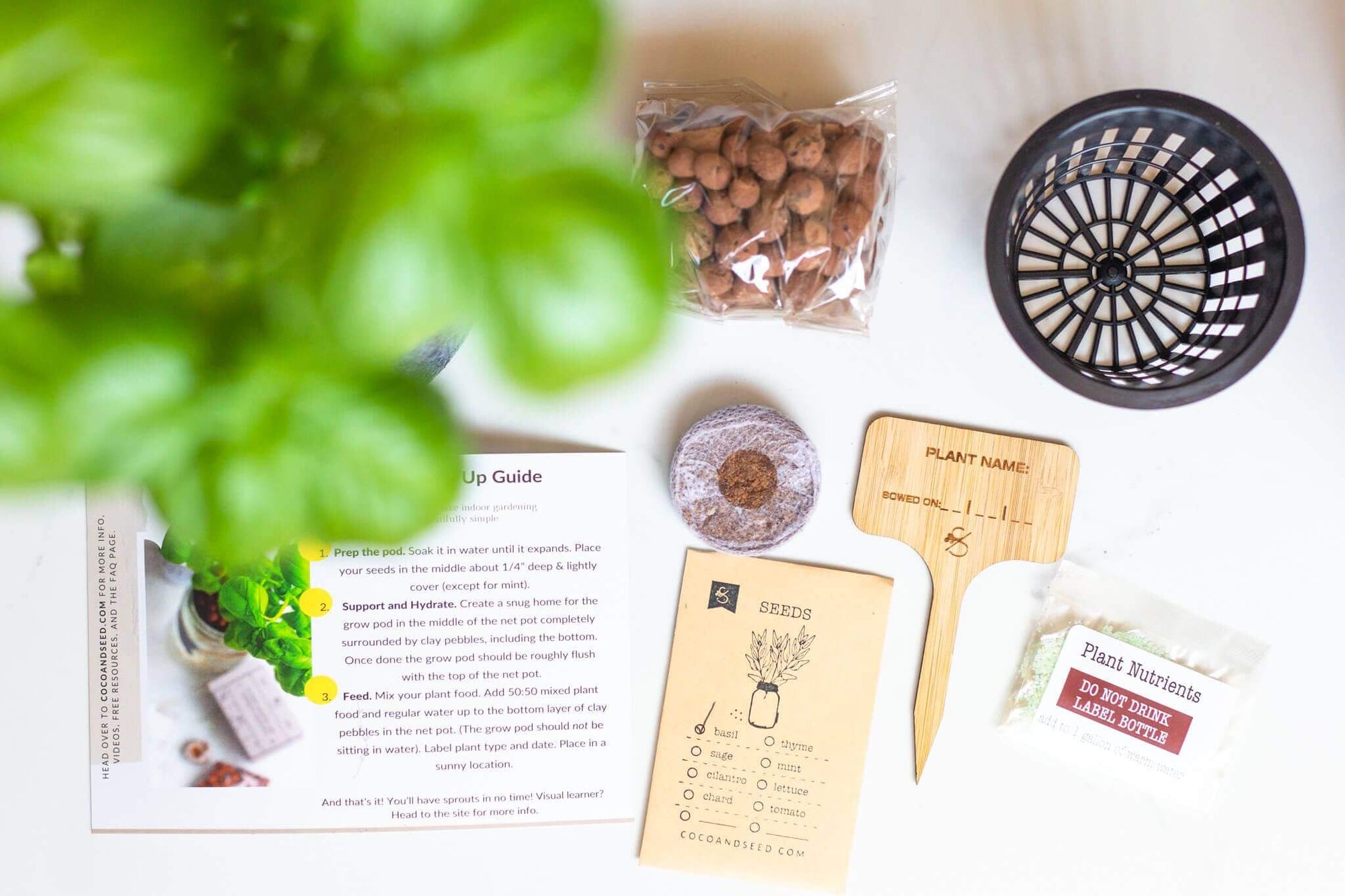 Grow Greens with Hydroponic Mason Jar Kit | Buy Now
