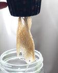 Grow Greens with Hydroponic Mason Jar Kit | Buy Now