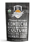 Live 4" Kombucha SCOBY - Ready to Ferment | Buy Now