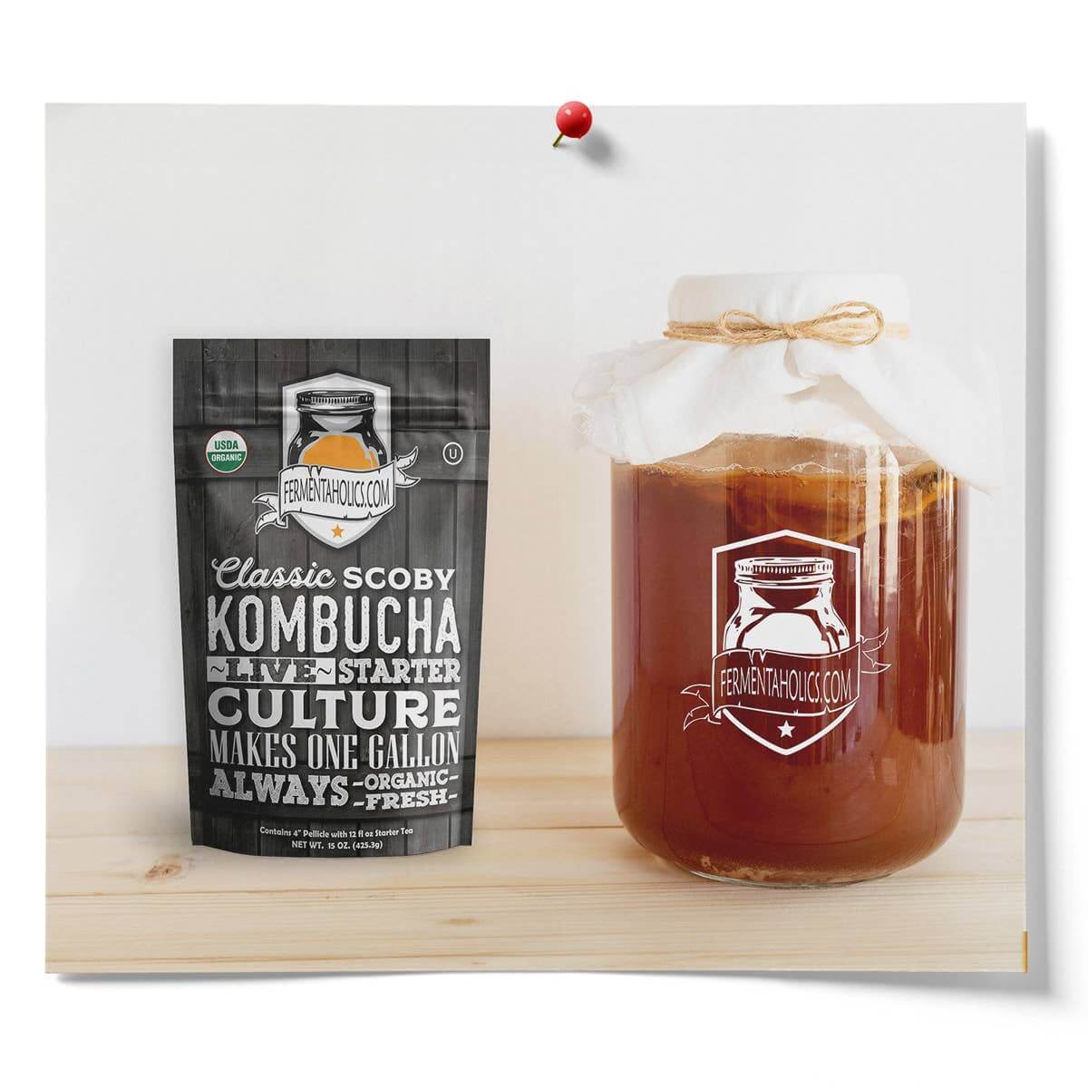 Live 4" Kombucha SCOBY - Ready to Ferment | Buy Now