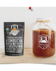 Live 4" Kombucha SCOBY - Ready to Ferment | Buy Now