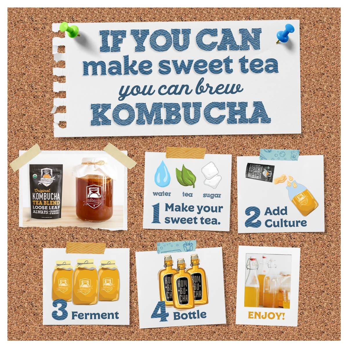 Live 4" Kombucha SCOBY - Ready to Ferment | Buy Now