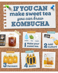 Live 4" Kombucha SCOBY - Ready to Ferment | Buy Now