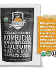 Live 4" Kombucha SCOBY - Ready to Ferment | Buy Now