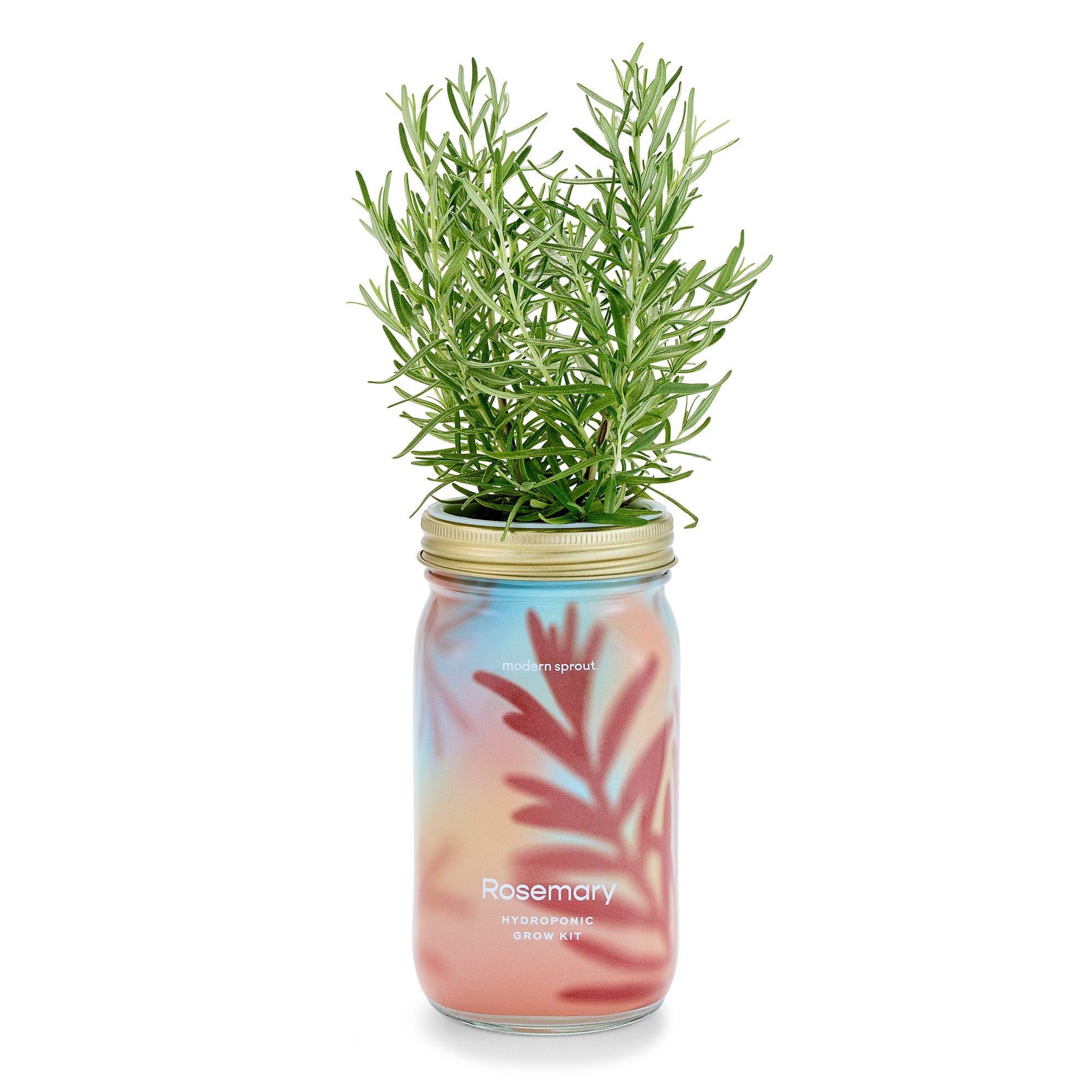 Organic Herb Garden Hydroponic Sprouting Jar