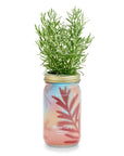 Organic Herb Garden Hydroponic Sprouting Jar