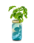 Organic Herb Garden Hydroponic Sprouting Jar