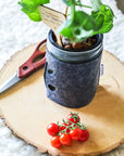 Coco and Seed: Starter Hydroponic Mason Jar Garden Kit