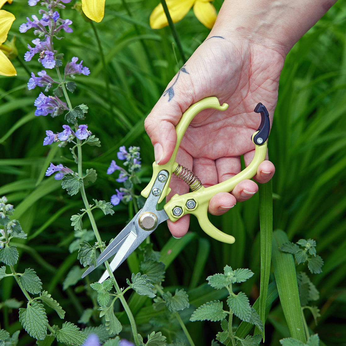 Pretty & Colorful Herb and Garden Shears