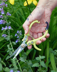 Pretty & Colorful Herb and Garden Shears