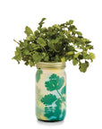 Organic Herb Garden Hydroponic Sprouting Jar