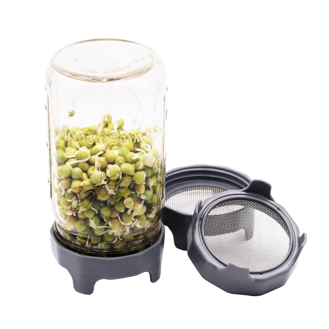 Rust Proof Sprouting Lid with Built-In Stand for Wide Mouth Jars