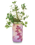 Organic Herb Garden Hydroponic Sprouting Jar