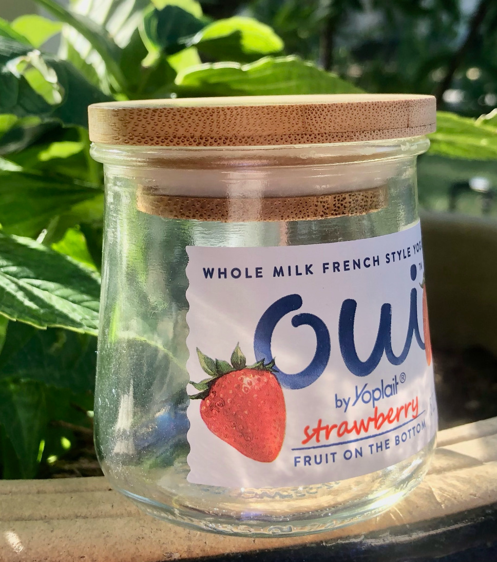 Bamboo Oui Lids: Fit French Yogurt Jars Perfectly! | Buy Now