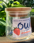 Bamboo Oui Lids: Fit French Yogurt Jars Perfectly! | Buy Now