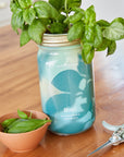 Organic Herb Garden Hydroponic Sprouting Jar