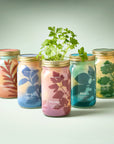 Organic Herb Garden Hydroponic Sprouting Jar