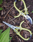 Pretty Herb Shears by Modern Sprout | Buy Now