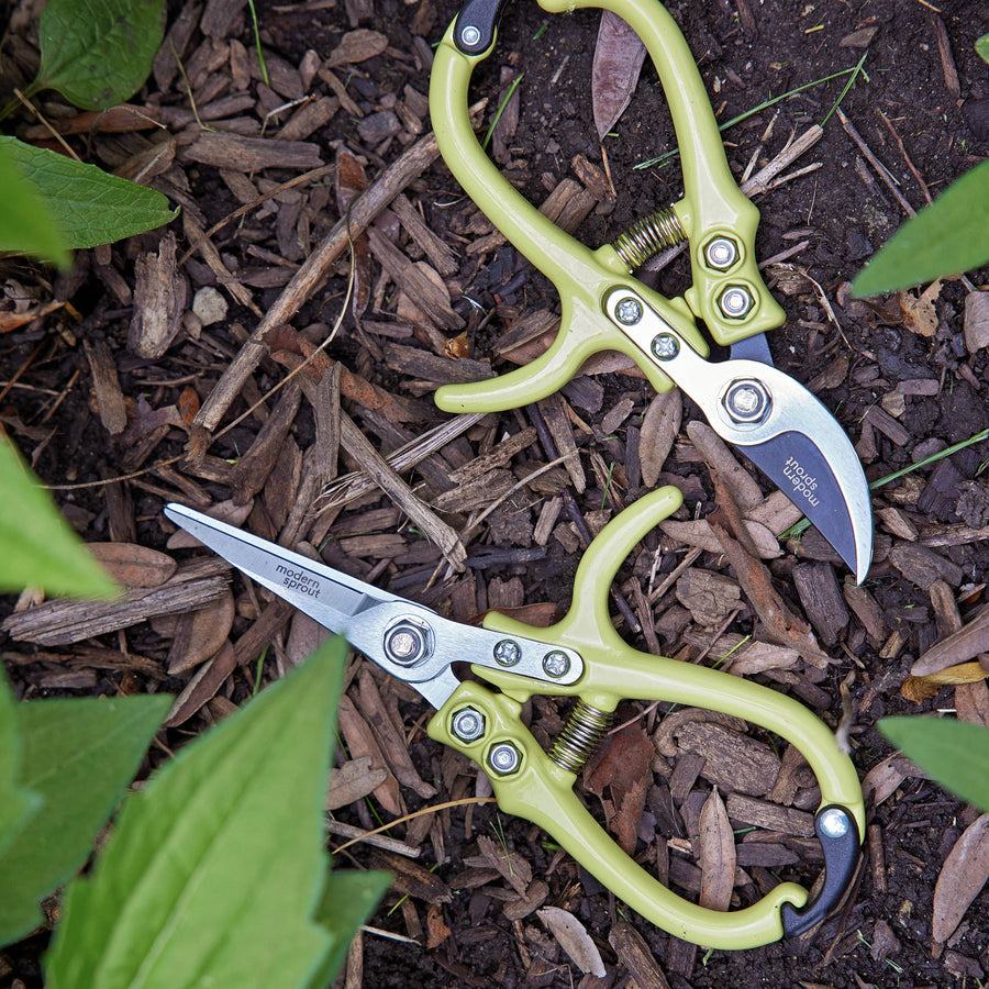 Pretty & Colorful Herb and Garden Shears