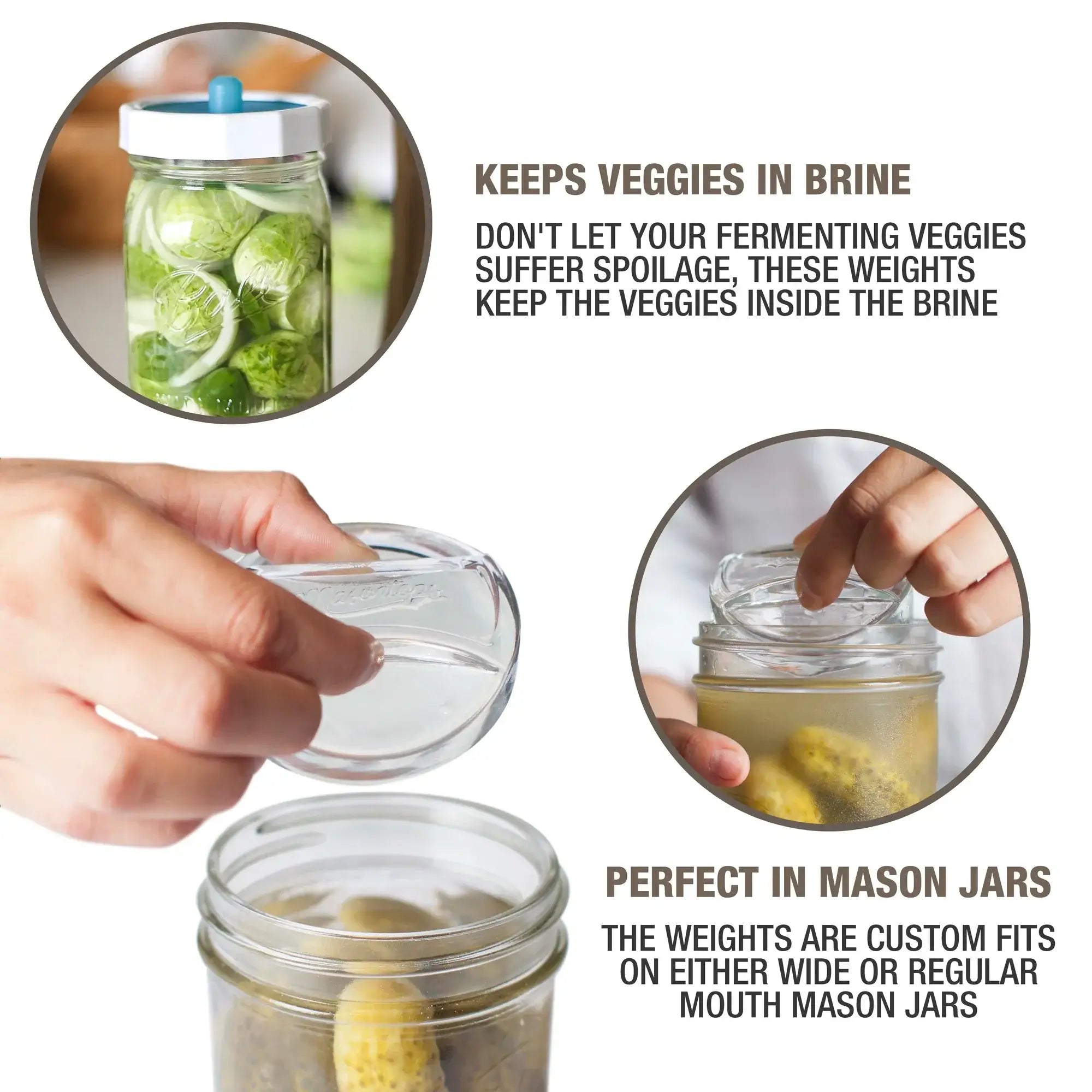 Pickle Pebbles Glass Fermentation Weights for Mason Jars (Regular or Wide Mouth)