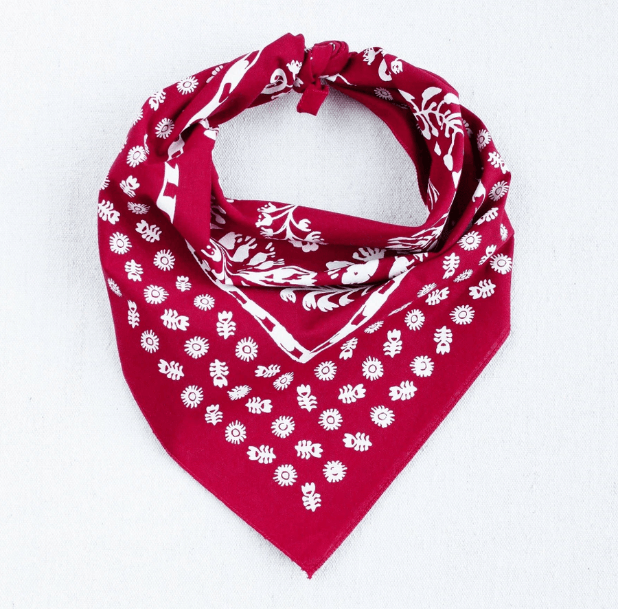 Made in USA Cotton Floral Bandana | Abracadana