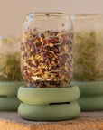 Silicone Sprouting Lid for Mason Jars | Buy Now