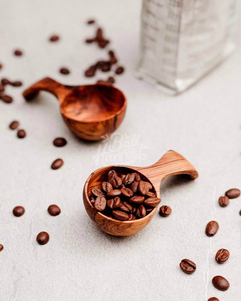 Reclaimed Teak Wooden Scoop With Curved Handle - Coffee, Flour, Sugar