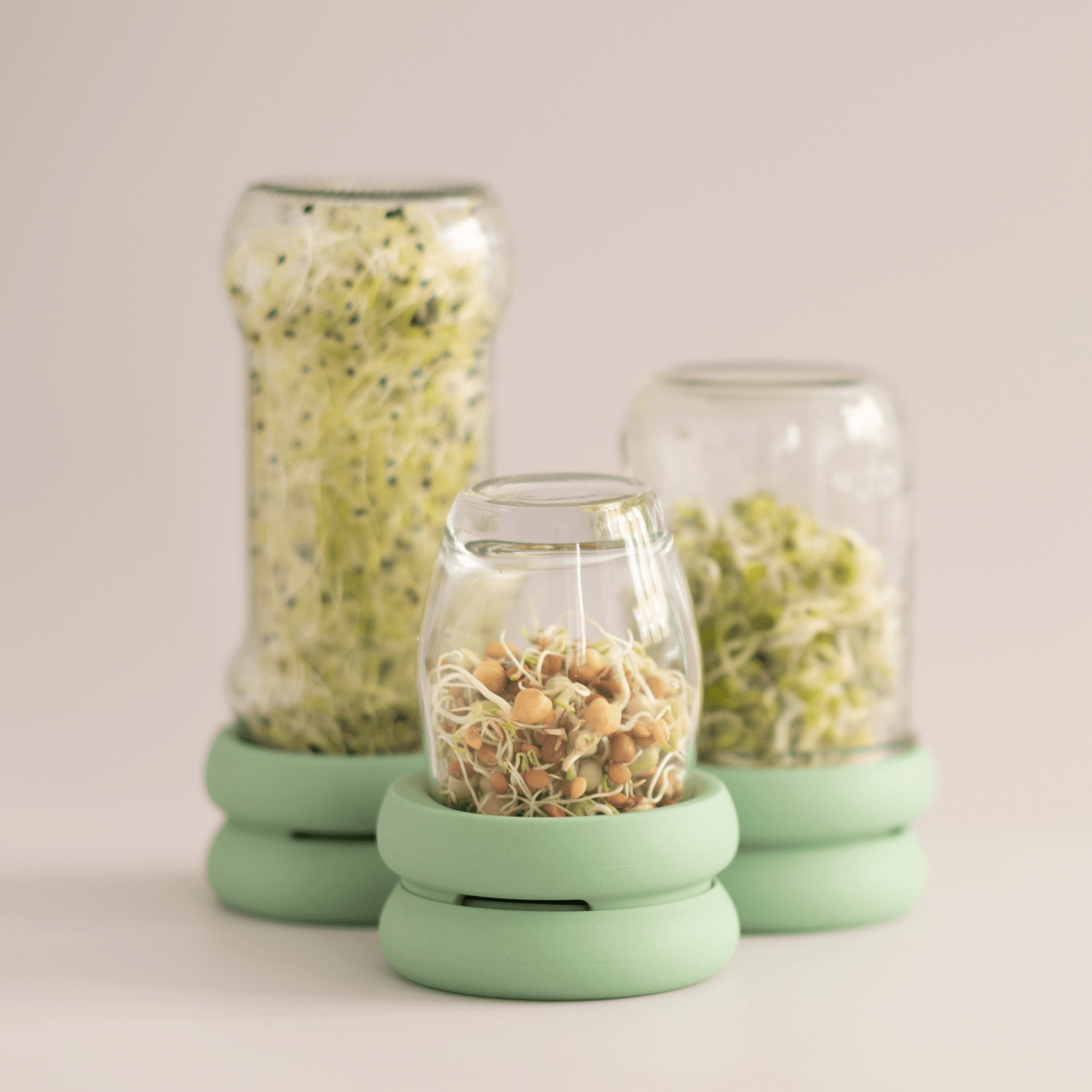 Silicone Sprouting Lid for Mason Jars | Buy Now