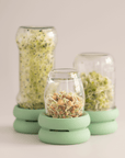 Silicone Sprouting Lid for Mason Jars | Buy Now