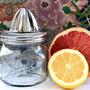 Stainless Steel Citrus Juicing Lid for Wide Mouth Mason Jars