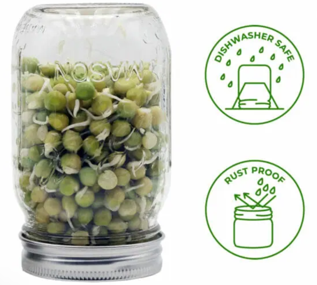 Premium Curved Stainless Steel Sprouting & Sifting Lids for Mason Jars