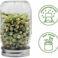 Premium Curved Stainless Steel Sprouting & Sifting Lids for Mason Jars